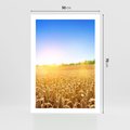Plakat bez ramy 50x70 - Żyzne Pola - pole, pszenicy