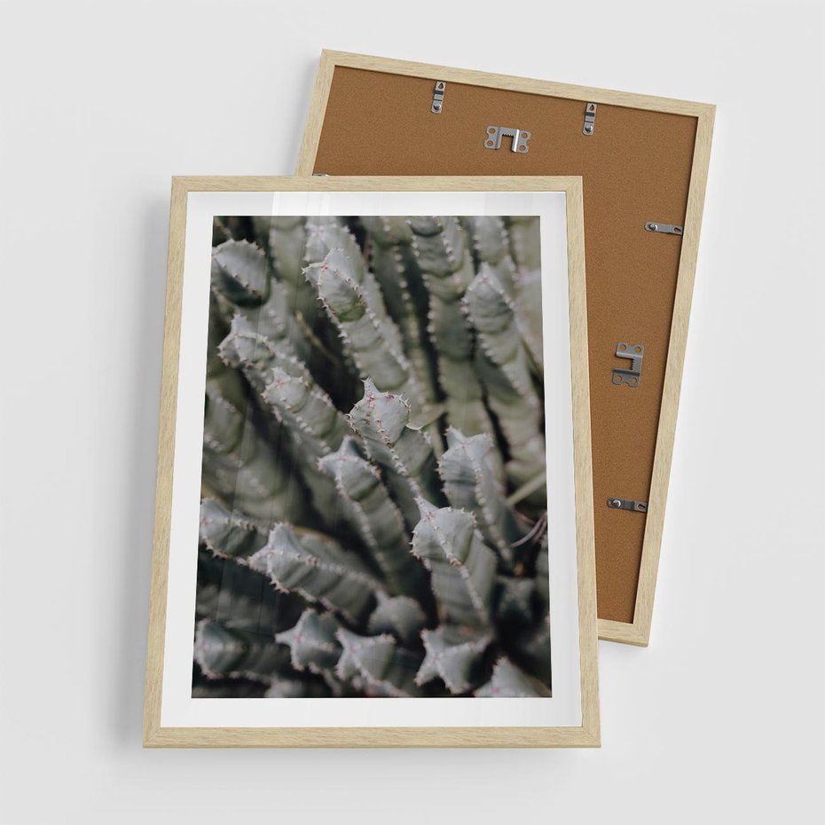 Plakat w ramie 50x70 - Boho kaktusy na pustyni - kaktusy, pustynia - rama drewno