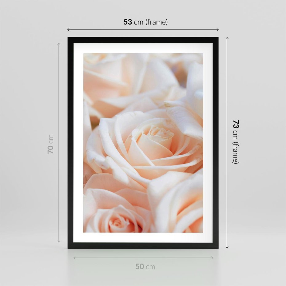 Plakat w ramie 50x70 - Aromatyczna Piękność - płatki herbacianej róży, kwiaty - rama czarna