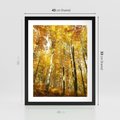 Plakat w ramie 40x50 - Jesienny Las - Kolorowa Paleta Natury - jesień, drzewa - rama czarna