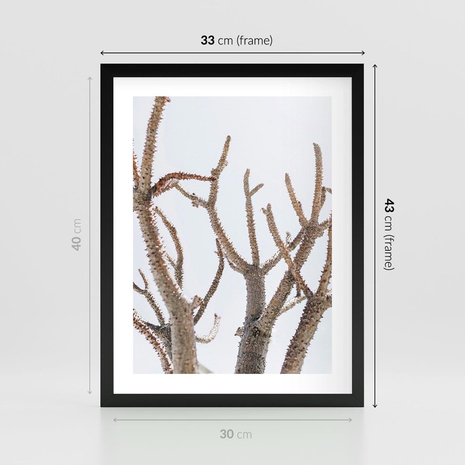 Plakat w ramie 30x40 - Pustynna Harmonia Gałęzi - pustynna roślina, suche gałęzie - rama czarna