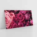 Obraz na płótnie 120x60 - Róże - piękno kwiatów - róże, kwiaty