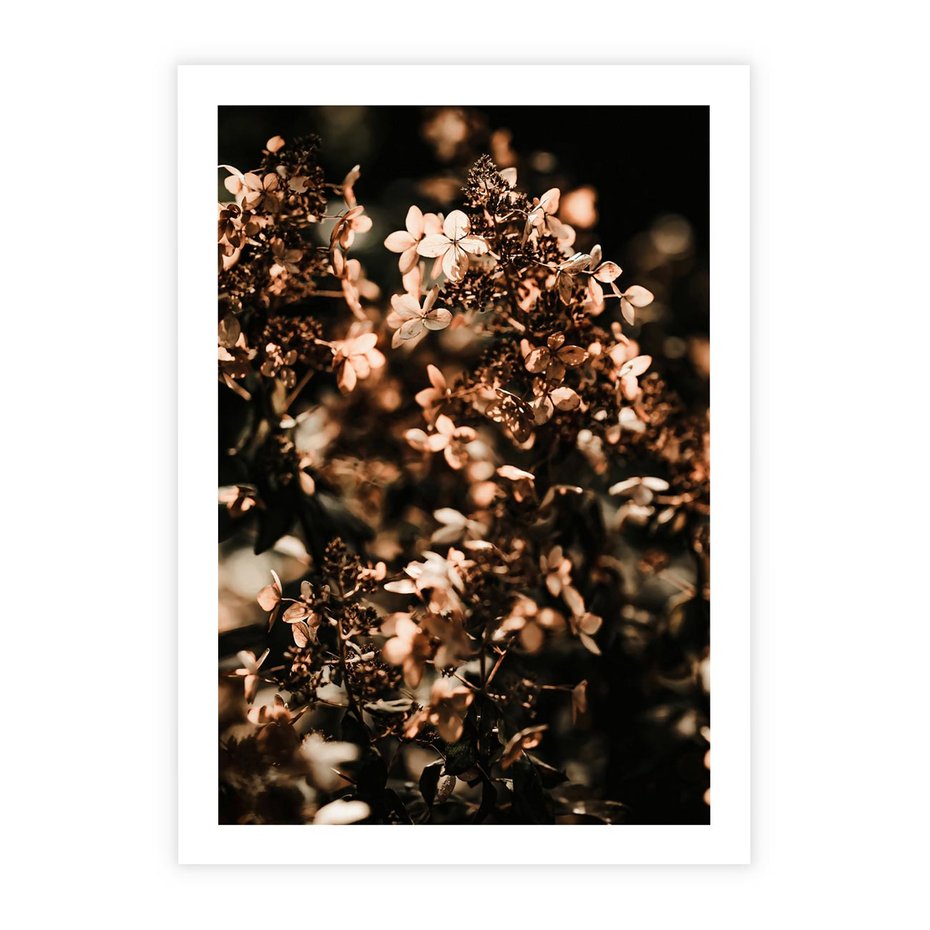 Plakat bez ramy 21x30 - Sucha Kompozycja Kwiatów - suche kwiaty hortensji