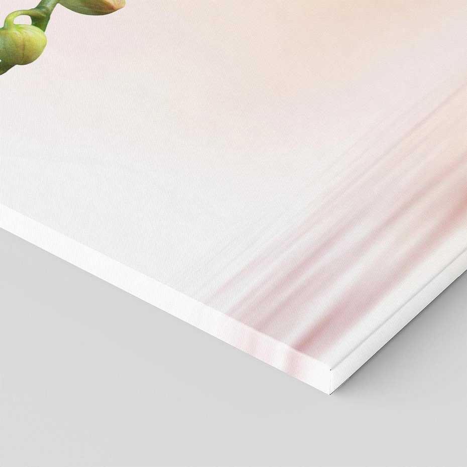 Obraz na płótnie 120x60 - Elegancja orchidei - orchidea, kwiaty