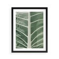 Plakat w ramie 40x50 - Zielone Wielkości: Zbliżenie Liścia - zbliżenie duz liść, jasna zieleń - rama czarna