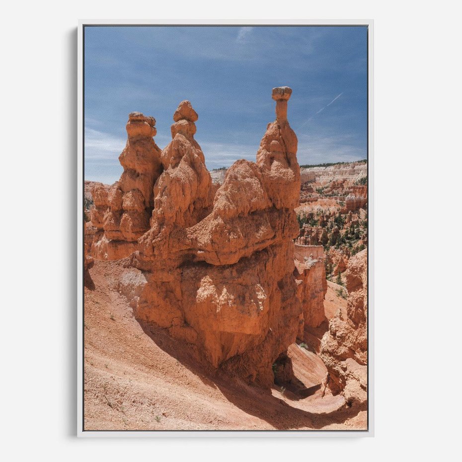 Obraz w ramie 50x70 - Spektakularne Formacje Naturalne - kanion, pustynia - rama biała