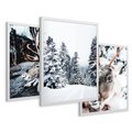 Zestaw obrazy w ramie 30x40 galeria - Renifer, zima, las, pejzaż, natura - rama biała