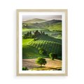 Plakat w ramie 50x70 - Prowansja: malownicze winnice w kraju Włoch - Prowansja, Włochy - rama drewno