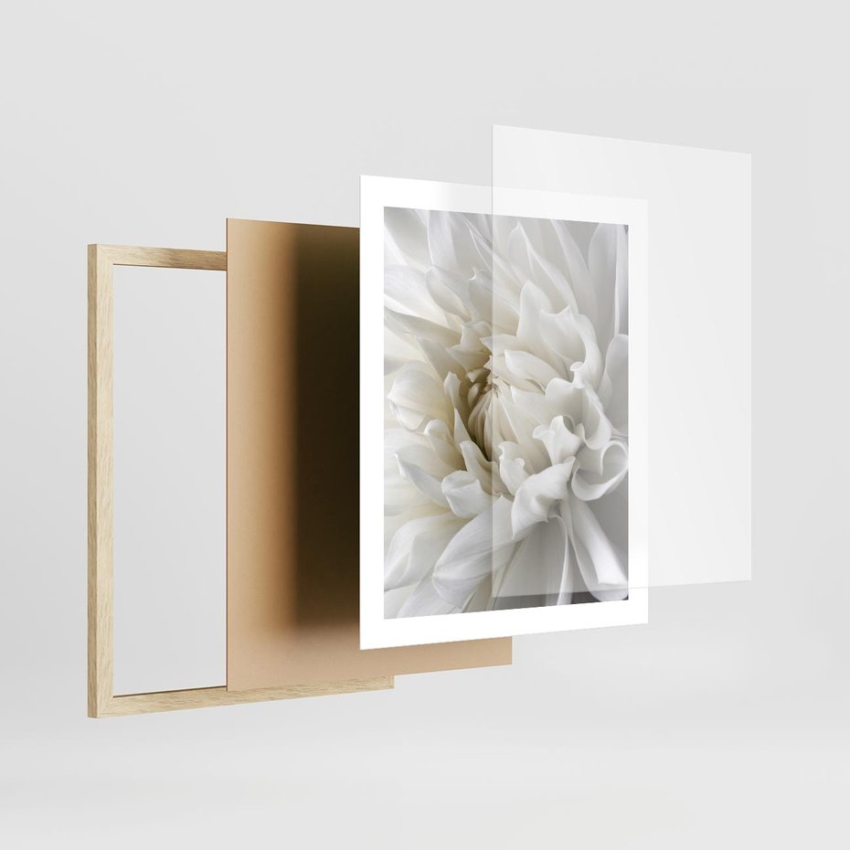 Plakat w ramie 40x50 - Białe Kwiaty Delikatności - białe, kwiaty - rama drewno