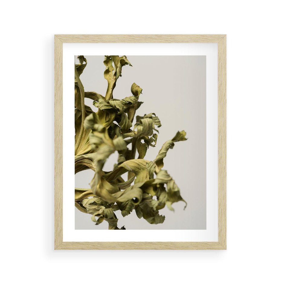 Plakat w ramie 40x50 - Odejście pory deszczowej - suche, trawy - rama drewno