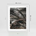 Plakat w ramie 40x50 - Liściaste Palmy - palmy, drzewa palmowe - rama biała