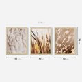 Zestaw obrazy w ramie 50x70 galeria - Trawy, zachód, słońca, cienie - rama drewno