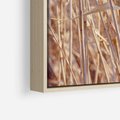 Obraz w ramie 70x50 - Mistrzowskie suche trawy - suche, trawy - rama drewno