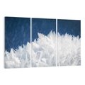 Obraz na płótnie 120x80 - Zimowa magia: Kryształki lodu - zima, kryształki