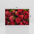 Obraz na płótnie 70x50 - Piękno róż: delikatność natury - róże, kwiaty