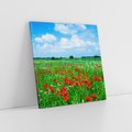 Obraz na płótnie 60x60 - Kolorowa łąka pełna maku - łąka, maki