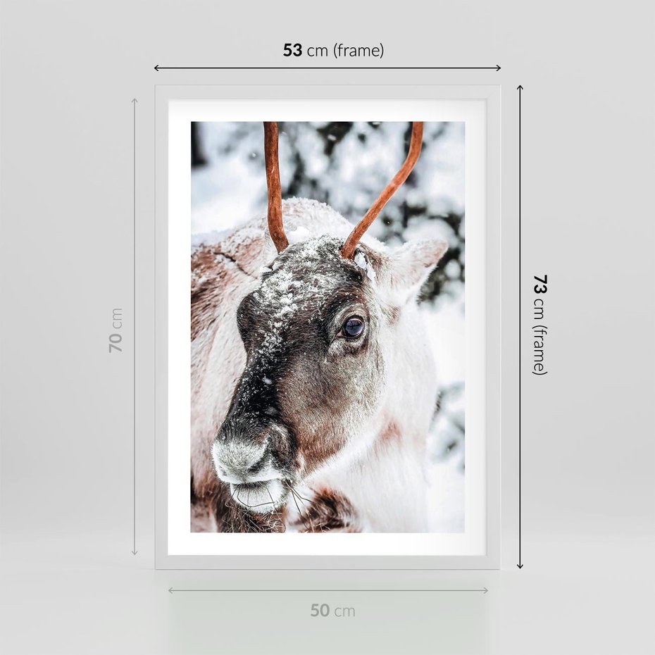 Plakat w ramie 50x70 - Renifer w Zimowej Krainie - renifer, zima - rama biała