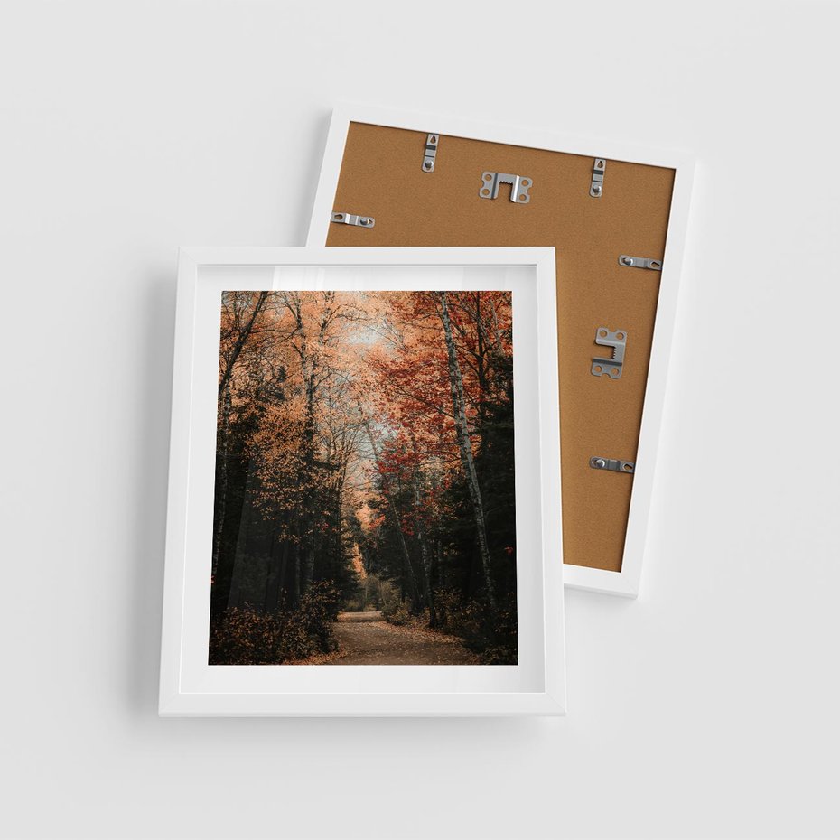 Plakat w ramie 40x50 - Drzewa w Czerwonych Liściach - las, jesienny las - rama biała