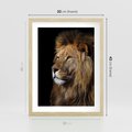 Plakat w ramie 30x40 - Władca Dzikiej Przyrody - lew, król - rama drewno