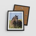 Plakat w ramie 40x50 - Siła i piękno natury - koń, łąka - rama czarna