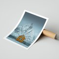 Plakat bez ramy 21x30 - Urok Norweskich Domków - Skandynawia, Norwegia