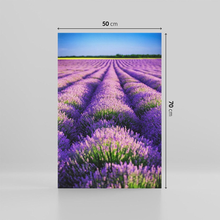 Obraz na płótnie 50x70 - Malownicze Pole Lawendy - lawenda, pole