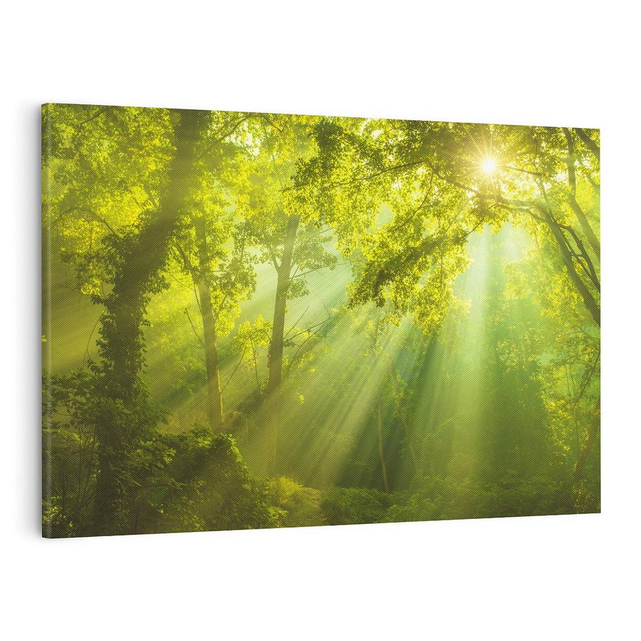 Obraz na płótnie 70x50 - drzewa w harmonii - las, drzewa