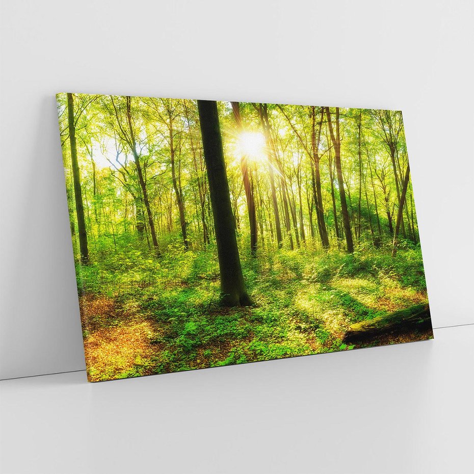 Obraz na płótnie 120x80 - Mistyfikujący las - las, drzewa