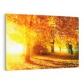 Obraz na płótnie 70x50 - Magia jesiennego lasu - las, drzewa