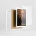 Plakat w ramie 30x40 - Drzewa w Czerwonych Liściach - las, jesienny las - rama biała