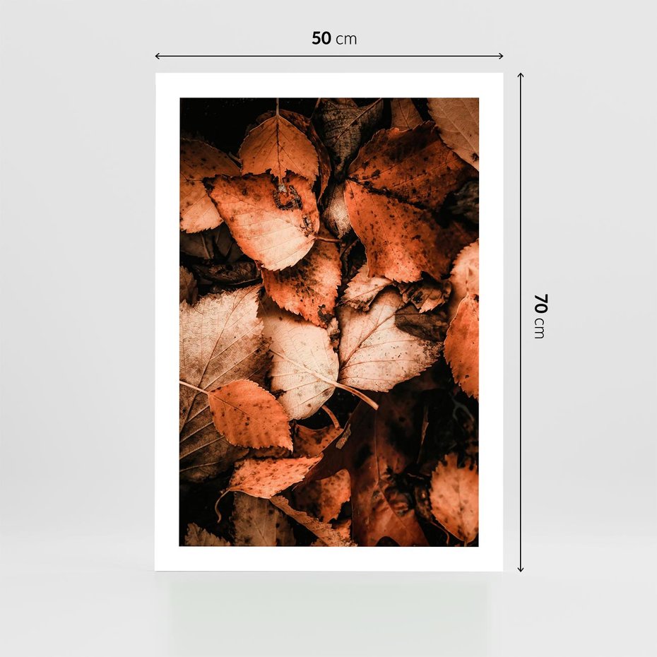 Plakat bez ramy 50x70 - Jesienna Paleta - liście, jesień