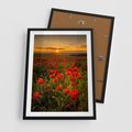 Plakat w ramie 50x70 - Maki przy zachodzie słońca - maki, zachód - rama czarna