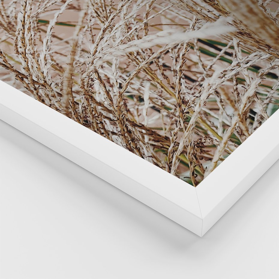 Zestaw obrazy w ramie 50x70 galeria - Boho, wnętrza, liście, trawy - rama biała