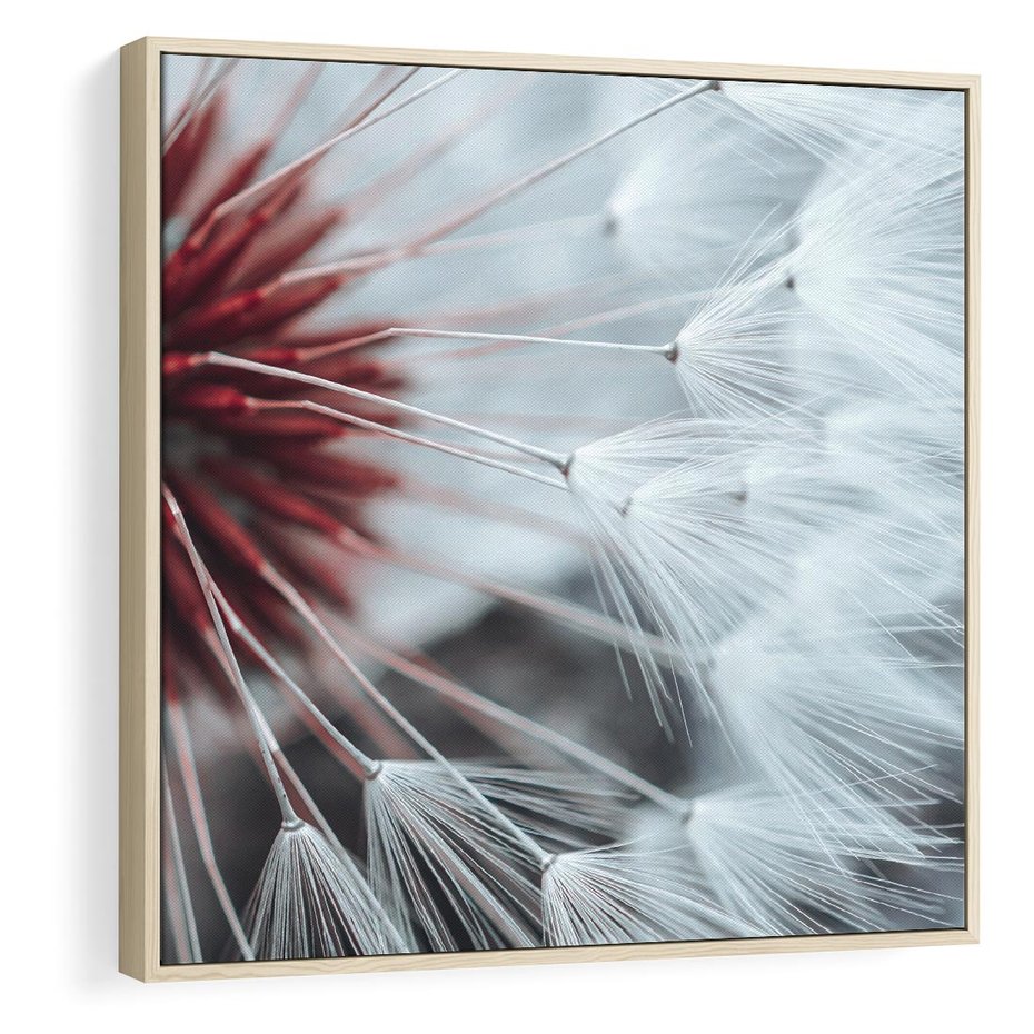 Obraz w ramie 50x50 - Makro świat dmuchawca - dmuchawiec, makro - rama drewno
