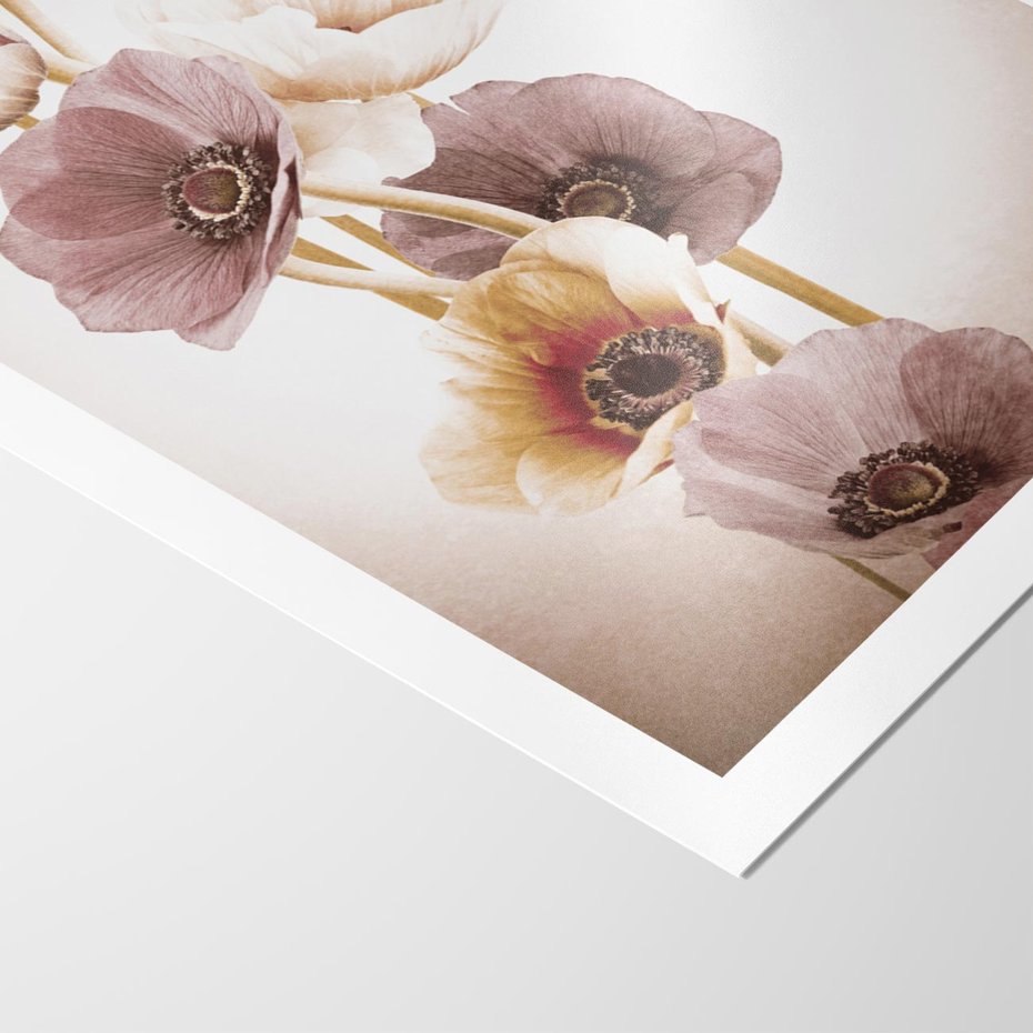 Plakat bez ramy 21x30 - Eksplozja kolorów - akwarela, maki