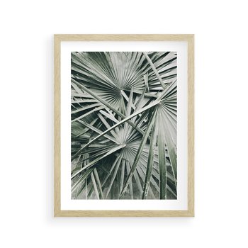 Plakat w ramie 40x50 - Palmy w Zgaszonej Zieleni - palmy, tropikalne liście - rama drewno