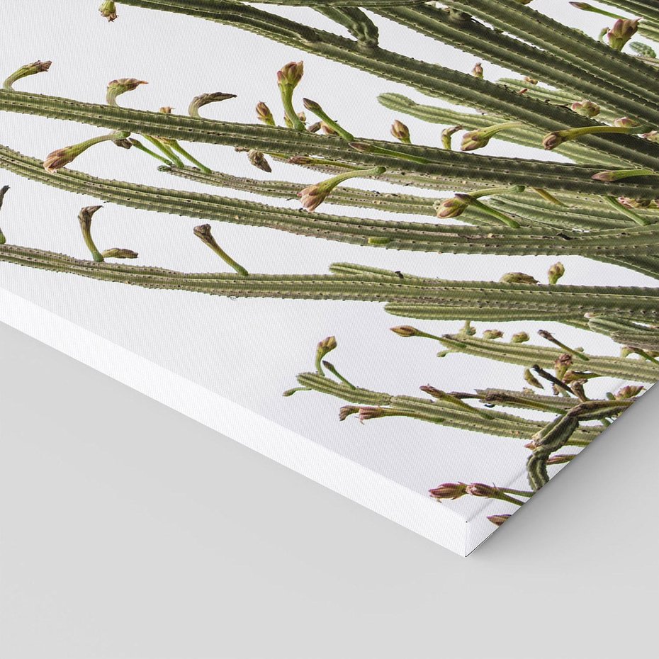 Obraz na płótnie 50x70 - Ekskluzywna Roślinność - kaktusy, liście