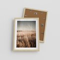 Plakat w ramie 30x40 - Sucha Trawa w Odcieniach Sepii - suche trawy, łąka odcienie beżu - rama drewno