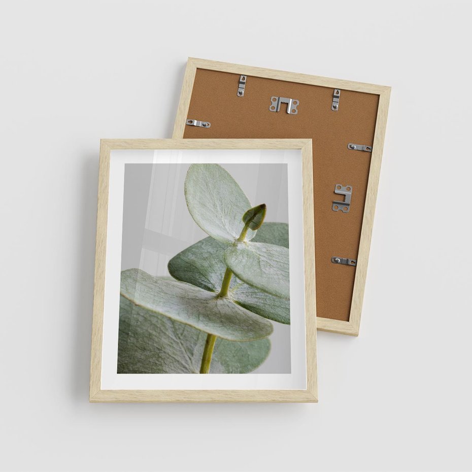 Plakat w ramie 40x50 - Eukaliptusowa zieleń - eukaliptus, zielone - rama drewno