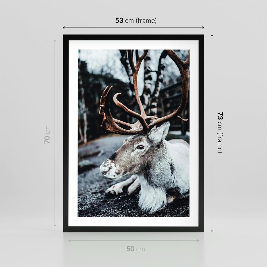 Plakat w ramie 50x70 - W Zimowej Krainie - renifer, zima - rama czarna