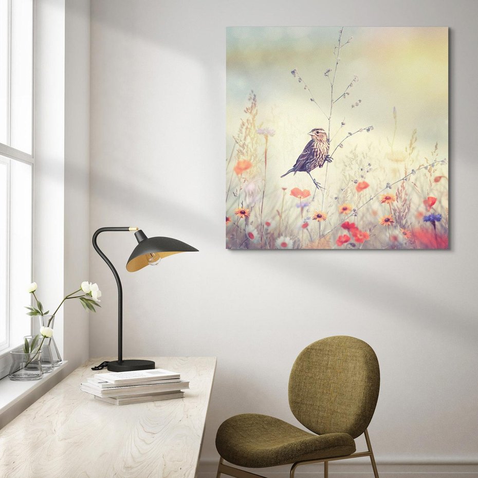 Obraz na płótnie 50x50 - Poranek wśród łąki - ptak, łąka