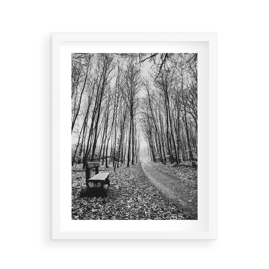 Plakat w ramie 40x50 - Spadające Liście - czarno białe zdjecie, park - rama biała