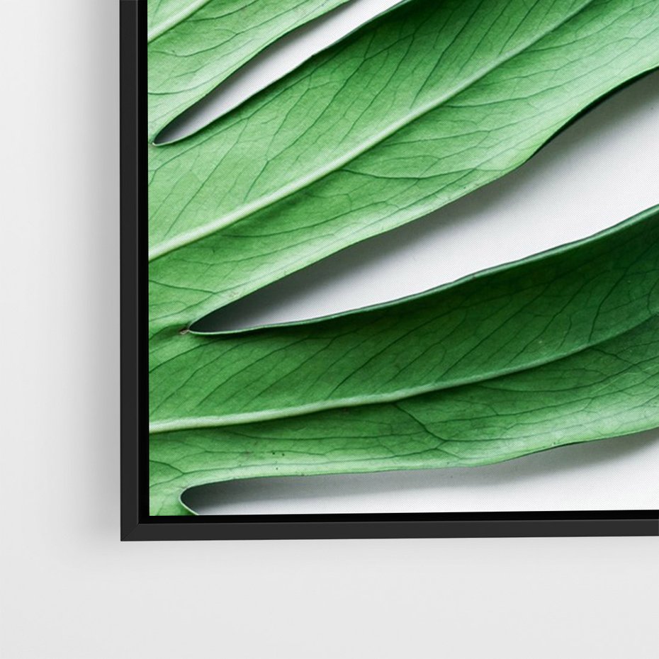 Obraz w ramie 50x70 - Monstera - Liście Kwiaty - monstera, liście - rama czarna