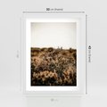 Plakat w ramie 30x40 - Krajobraz W Naturze: Beże i Brązy - suche krzewy, natura - rama biała