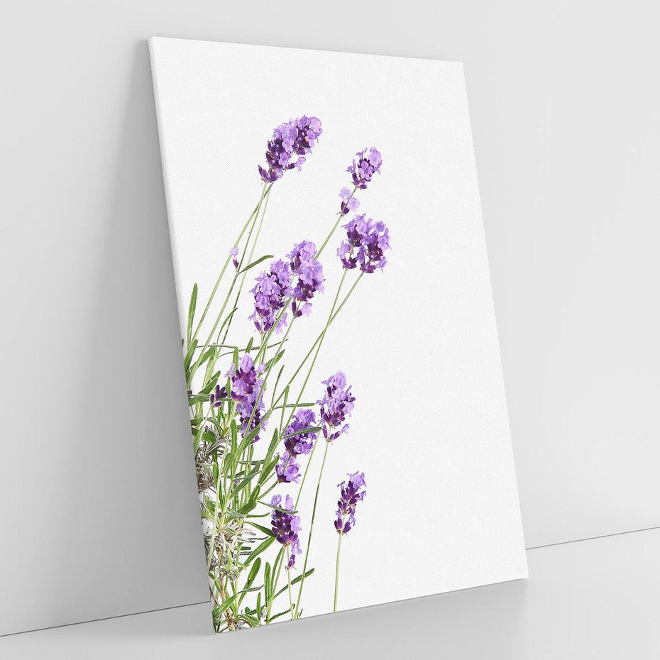 Obraz na płótnie 70x100 - Delikatny Urok - lawenda, kwiaty