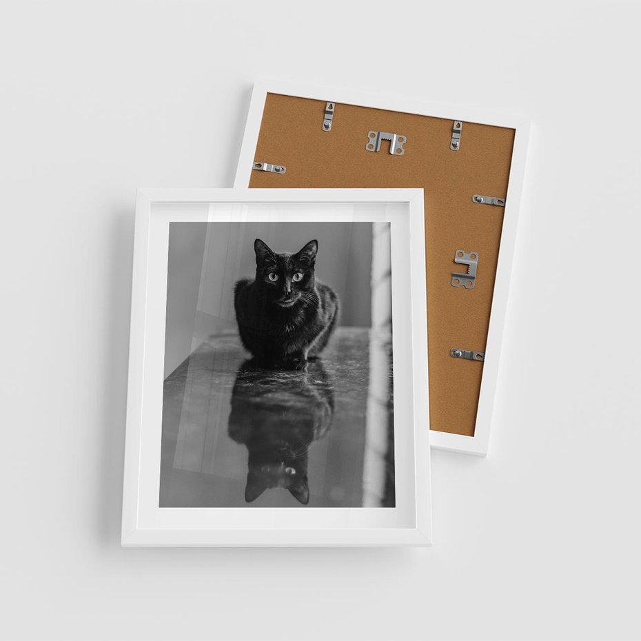 Plakat w ramie 40x50 - Kocie Oczy - kot, czarno białe zdjęcie - rama biała