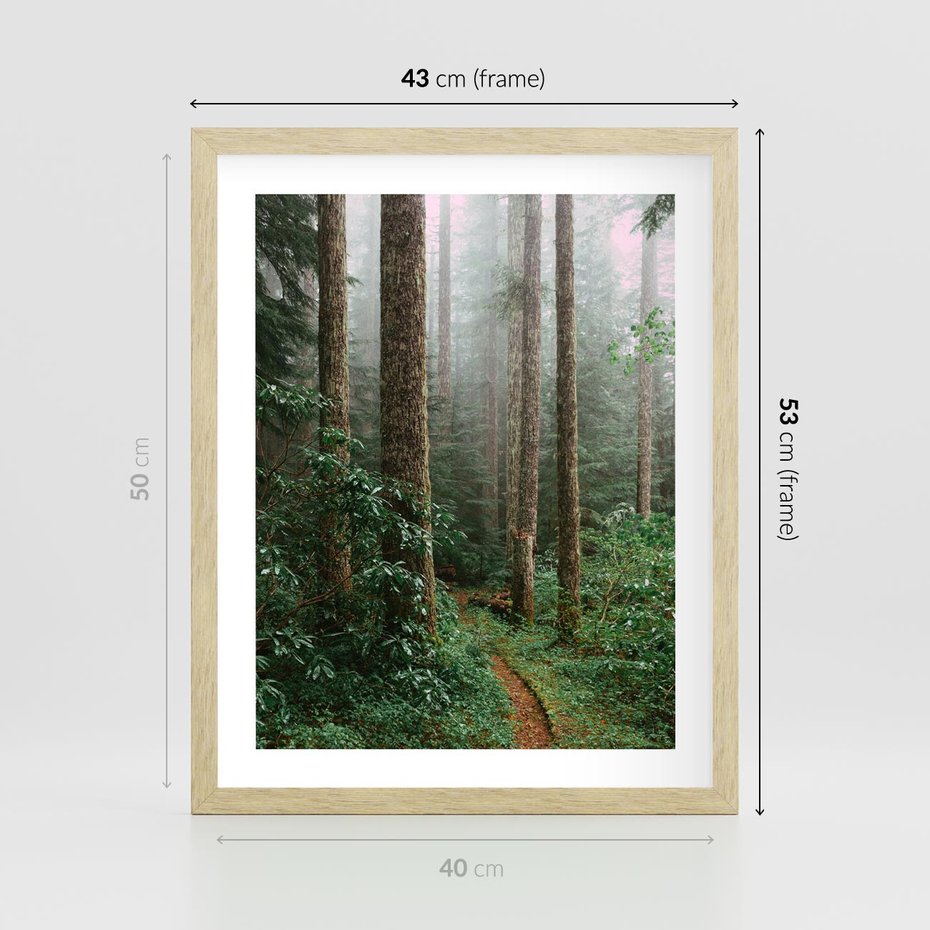 Plakat w ramie 40x50 - Mgliste Marzenia - artystyczna fotografia, las - rama drewno
