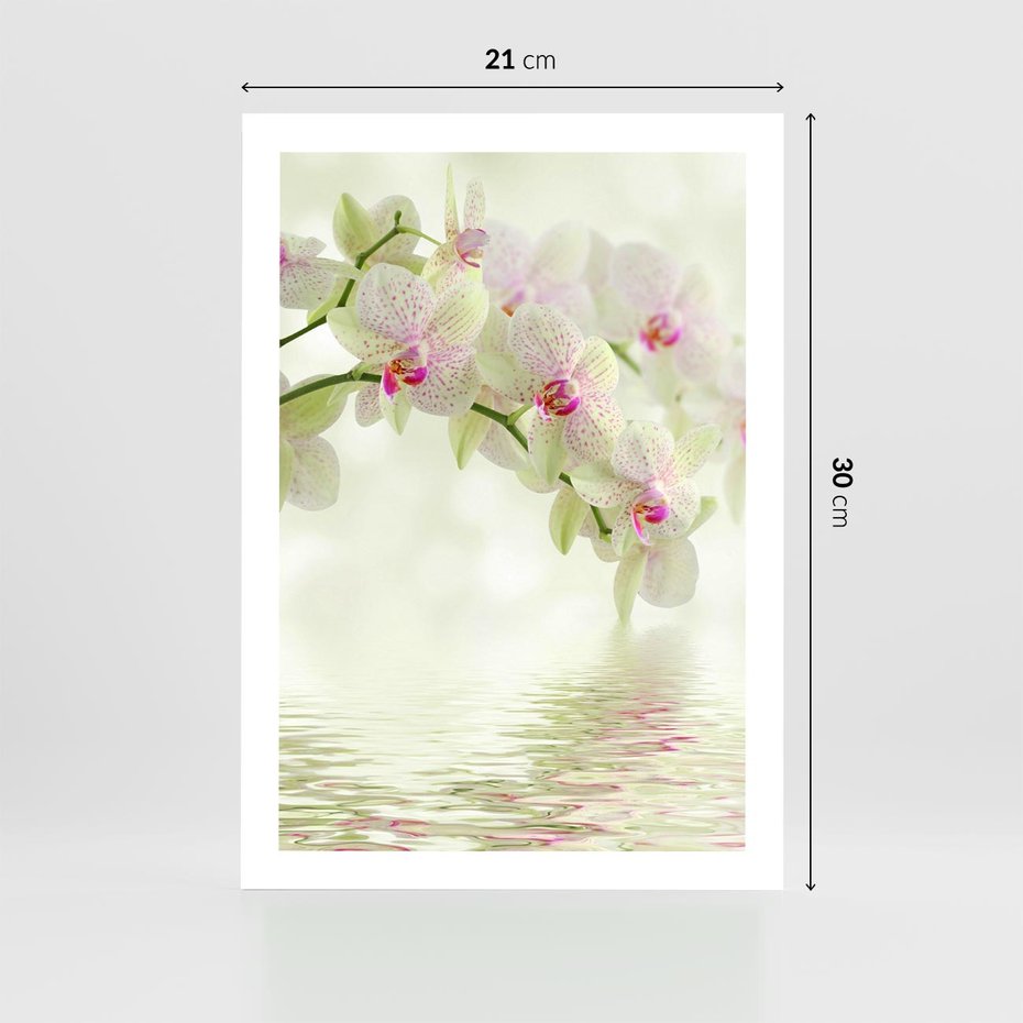 Plakat bez ramy 21x30 - Orchidea w Spa - orchidea, kwiaty