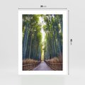 Plakat bez ramy 30x40 - Urokliwa dróżka w lesie - las, dróżka