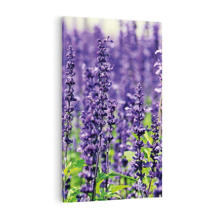 Obraz na płótnie 70x100 - Lawendowa Mgła - lawenda, kwiat